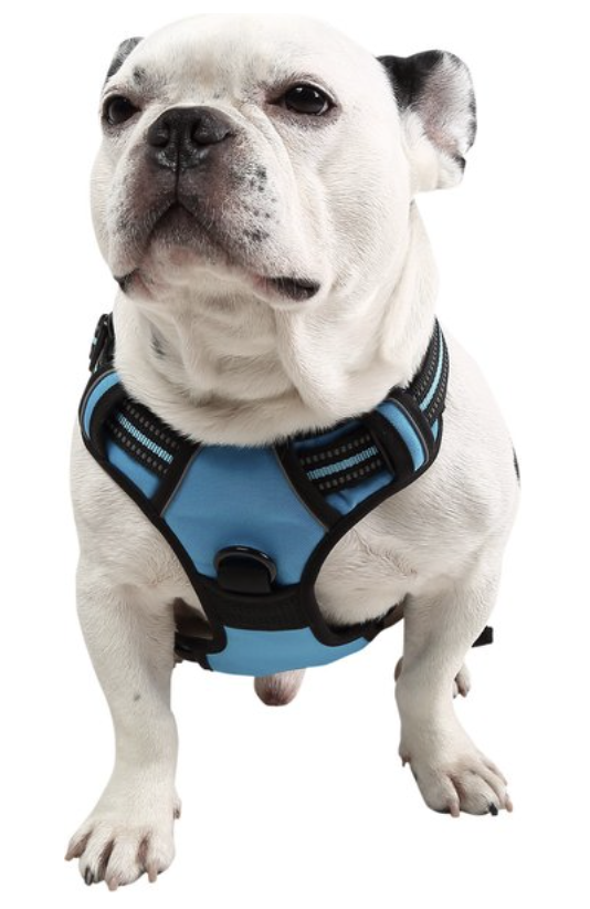 reflective dog harness